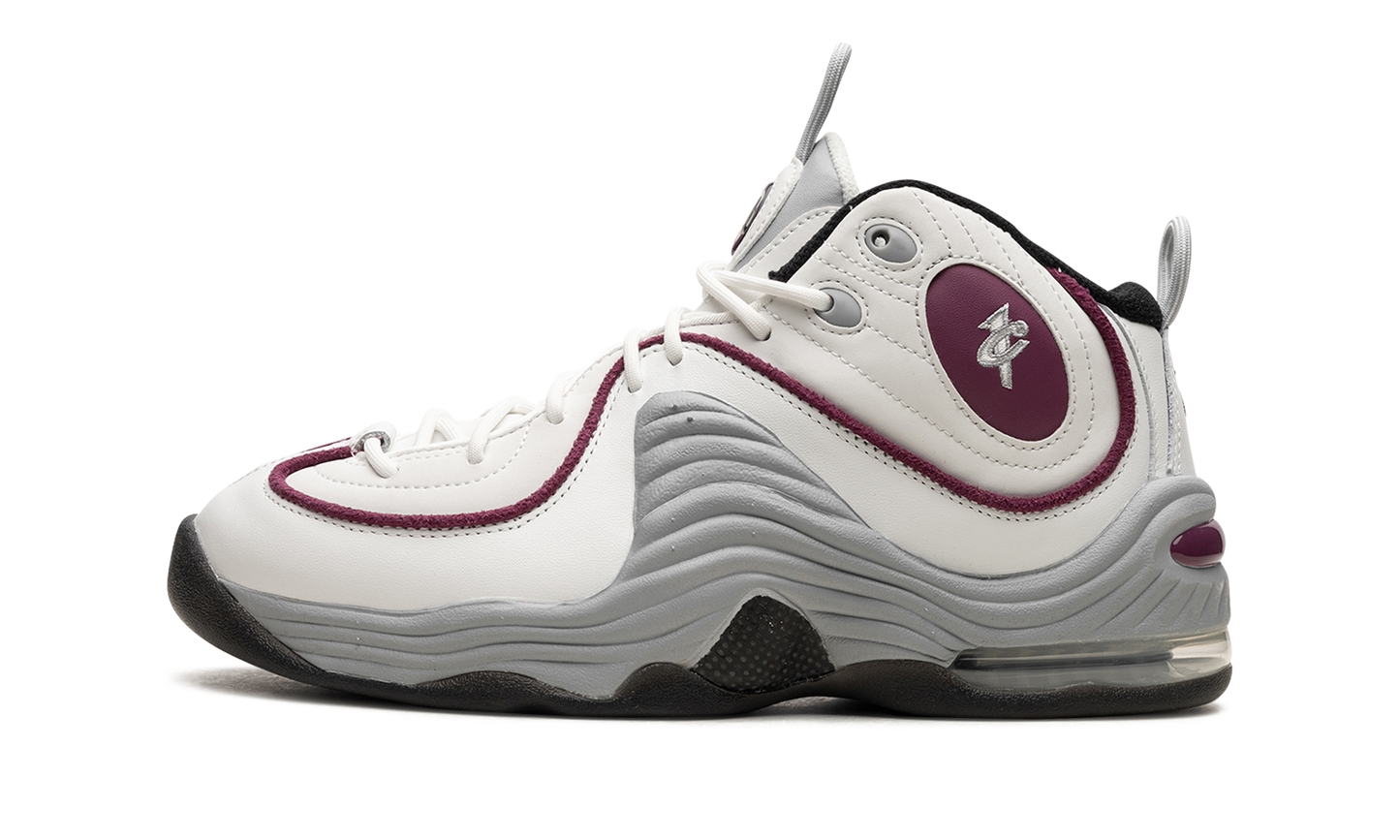AIR PENNY 2 WMNS "Rosewood" DV1163 100