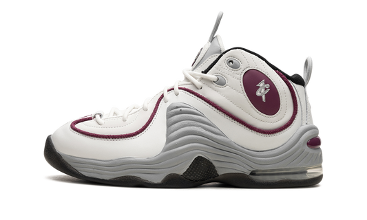 AIR PENNY 2 WMNS "Rosewood" DV1163 100