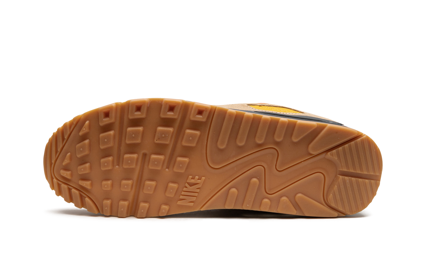 Air Max 90 "Pressure" FB4315 100