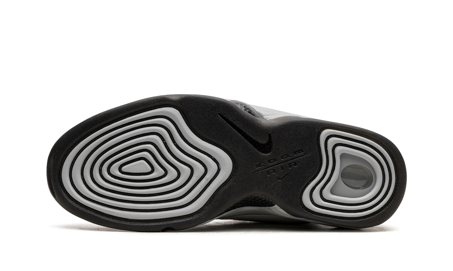 AIR PENNY 2 WMNS "Rosewood" DV1163 100