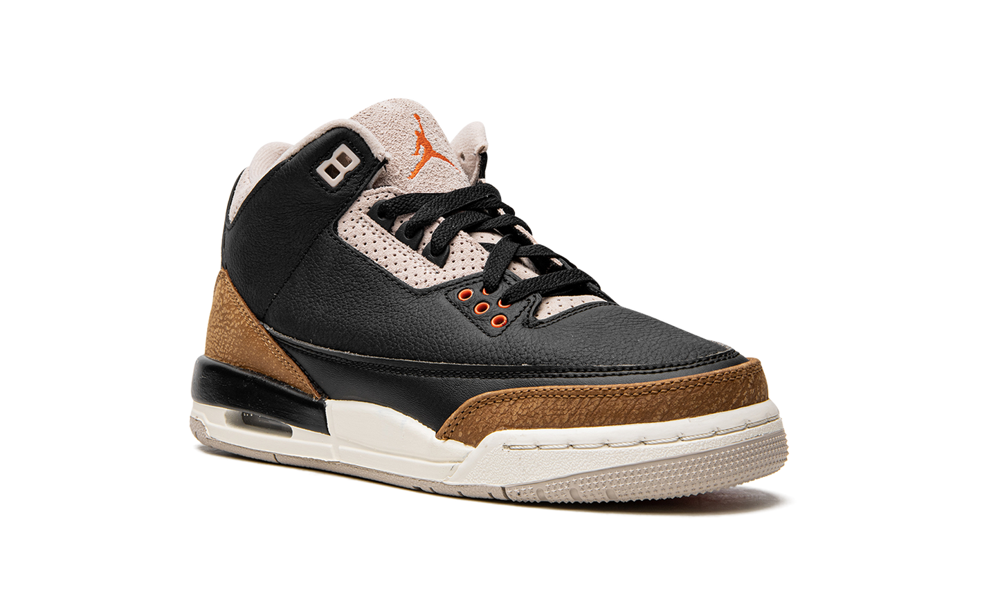 Air Jordan 3 GS "Desert Elephant" DM0967 008