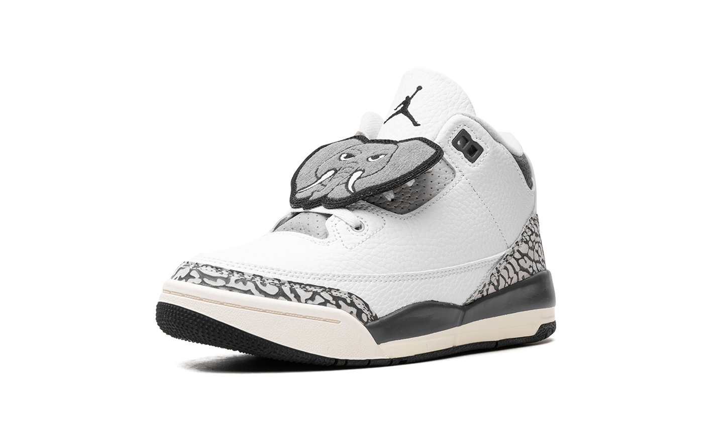 Air Jordan 3 PS "Hide & Sneak" FB4416 100
