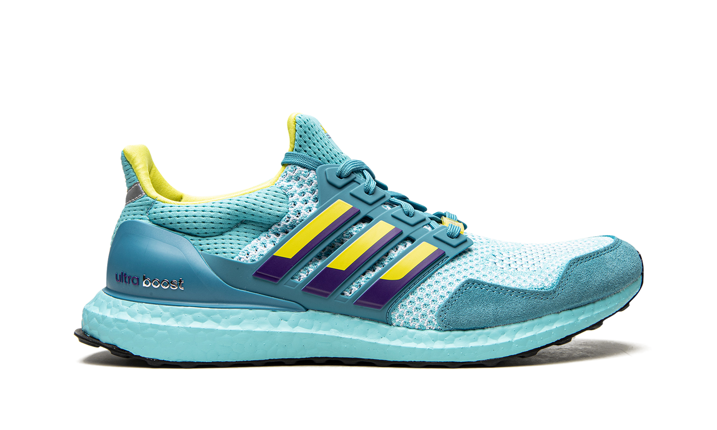 UltraBoost 1.0 DNA "Aqua ZX 8000" H05263