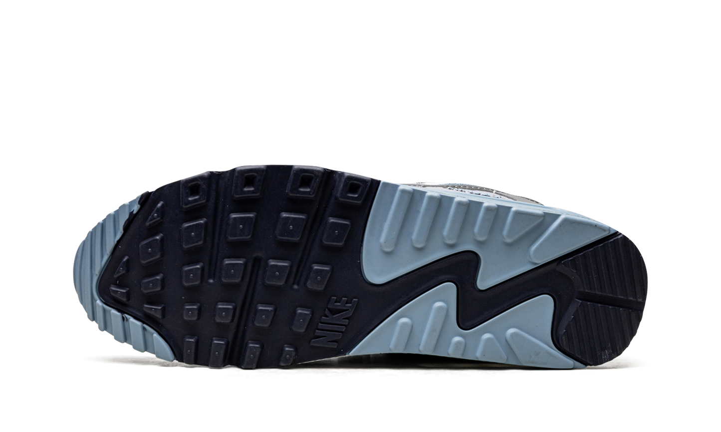 Air Max 90 "Pure Platinum Warm Blue" DM0029 003