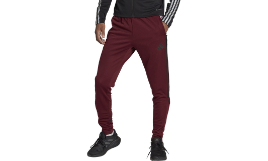 TIRO23 Pant "Black" HR7134