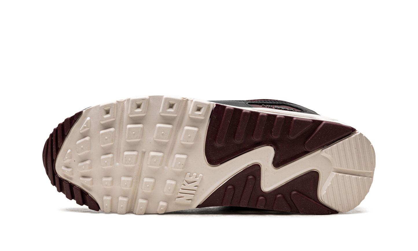 Air Max 90 "Burgundy Crush" DQ4071 004