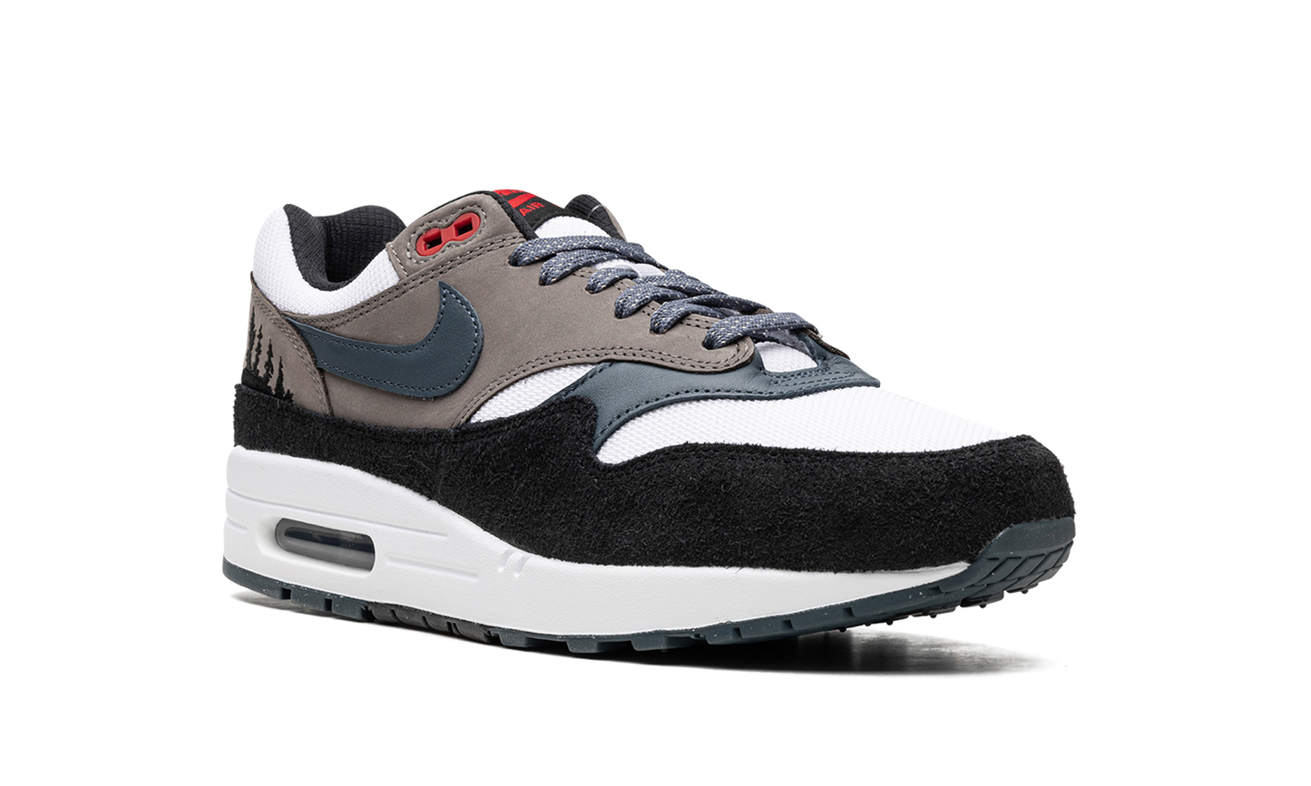 Air Max 1 "Slate Blue" FJ0698 100