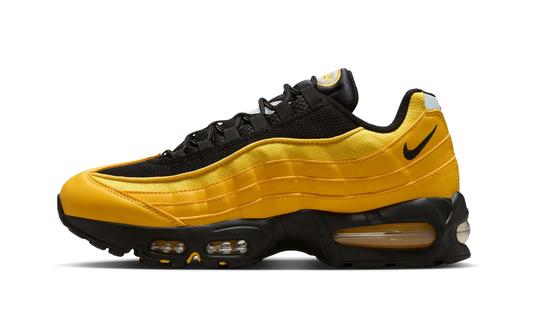 Air Max 95 "Big Bubble" IB1667 700