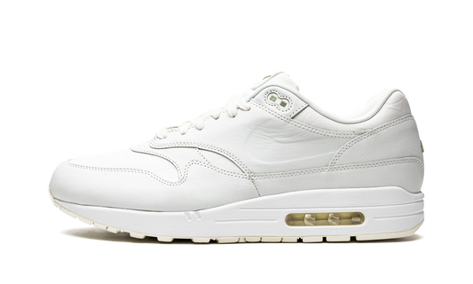 AIR MAX 1 "RUB AWAY" DH5493 100