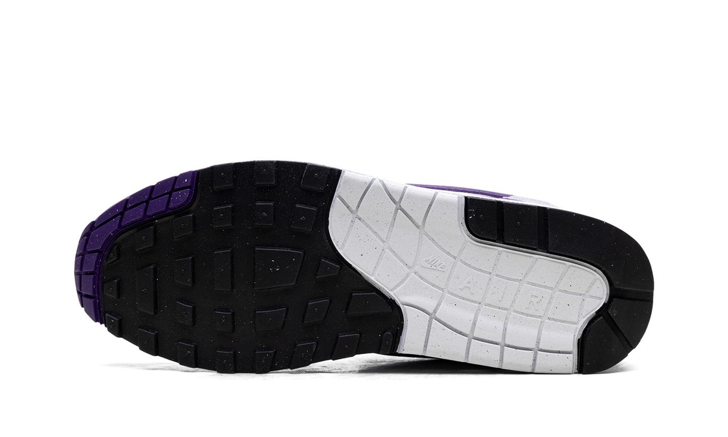 Air Max 1 SC "Field Purple" DZ4549 101
