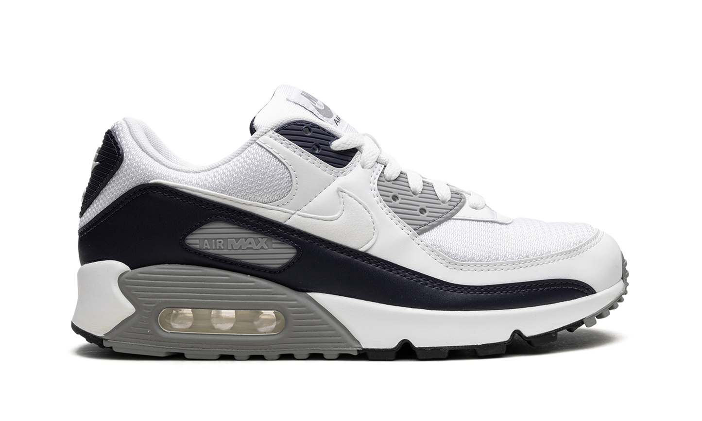 Air Max 90 "Obsidian" CT4352 100