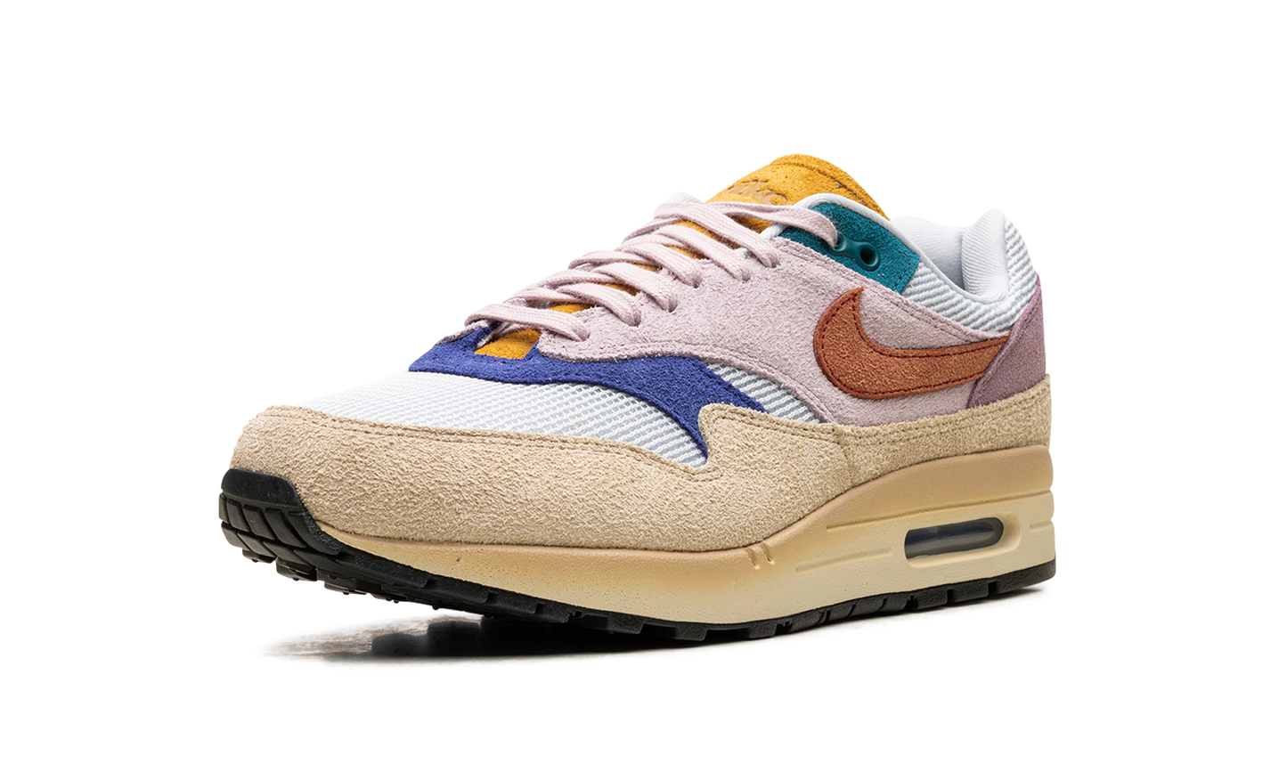 AIR MAX 1 '87 PREM WMNS "Tan Lines" FN7200 224