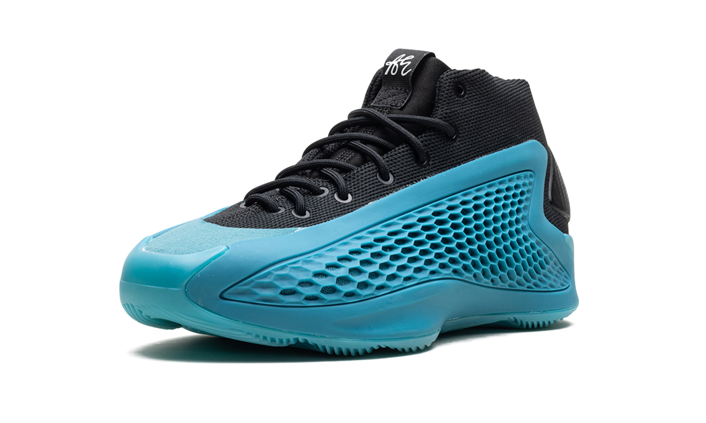 AE 1 GS "Arctic Fusion"