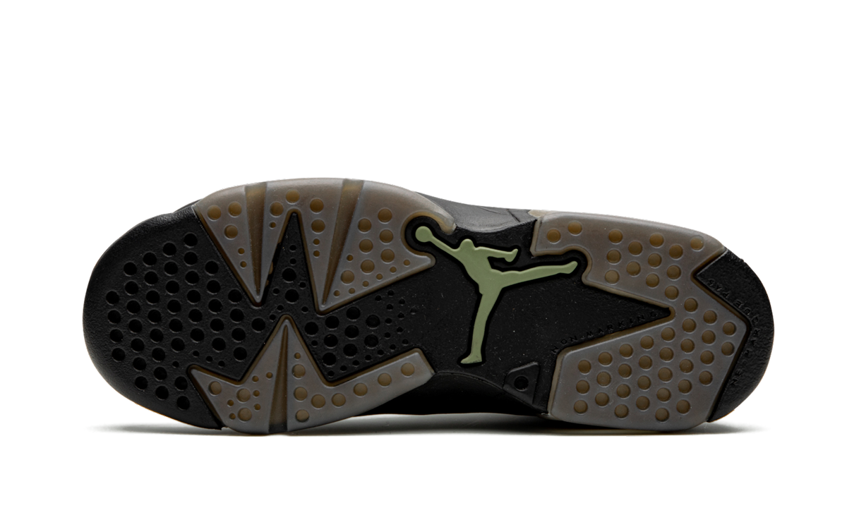 Air Jordan 6 Retro GS "Alligator" 384665 110