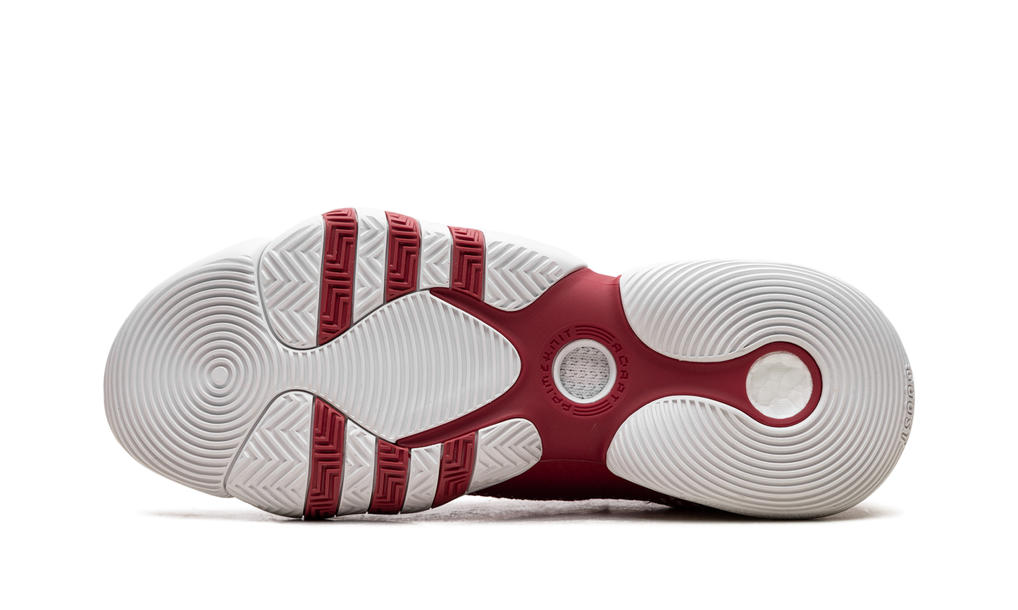 Trae Young 2.0 "Team Power Red" H03845