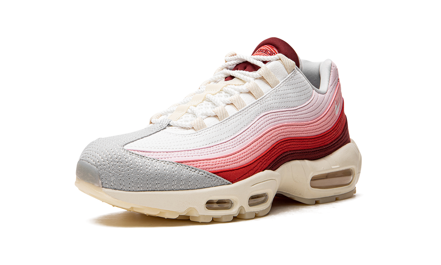 Air Max 95 QS "Anatomy of Air" DM0012 600