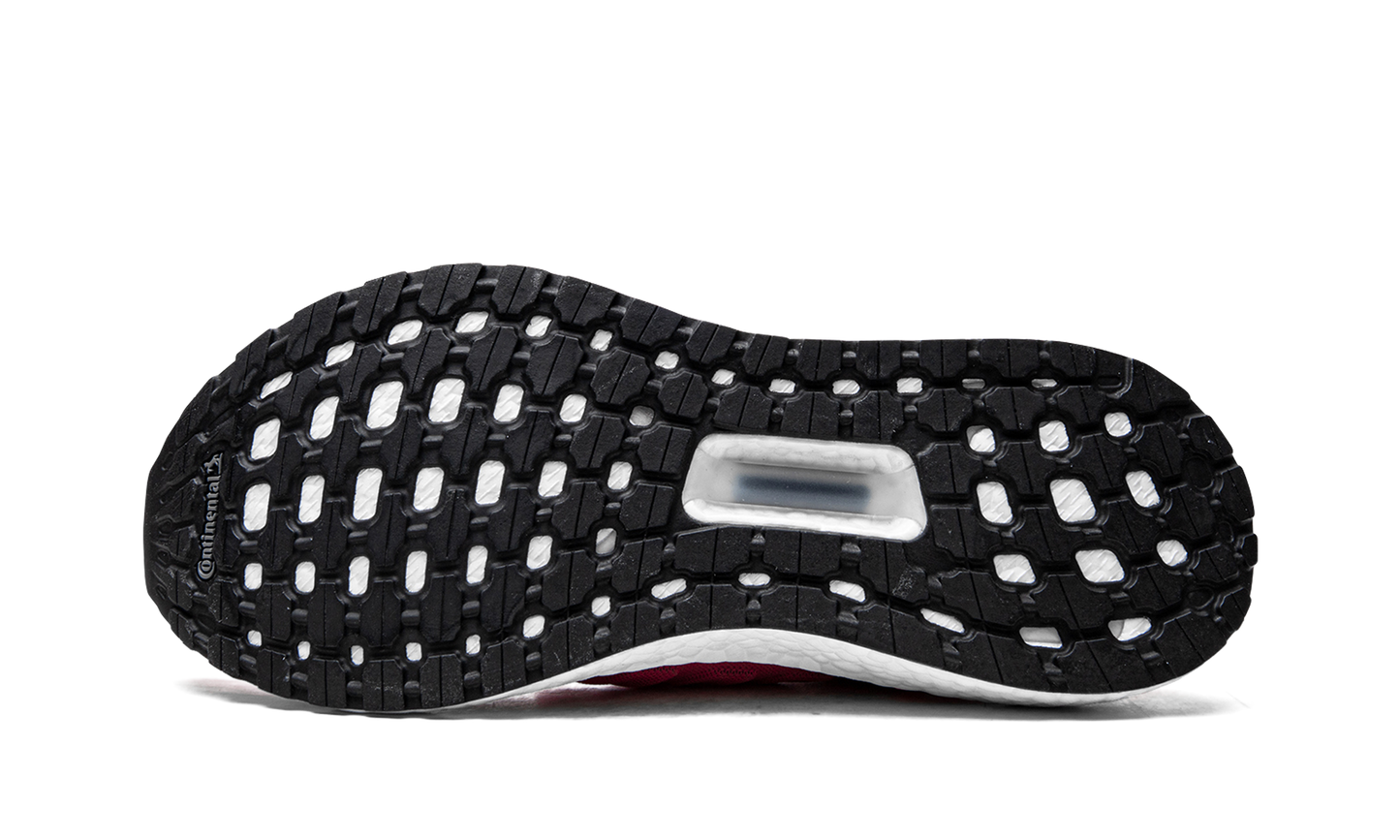 ULTRABOOST 19 WMNS G27485