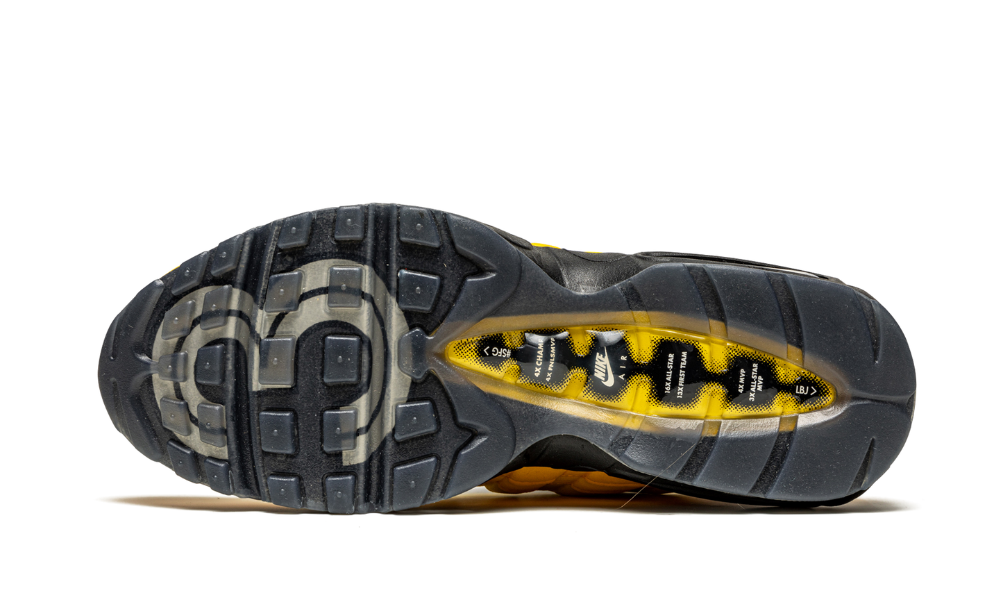 Air Max 95 NRG "Lakers - Lebron" CZ3624 001