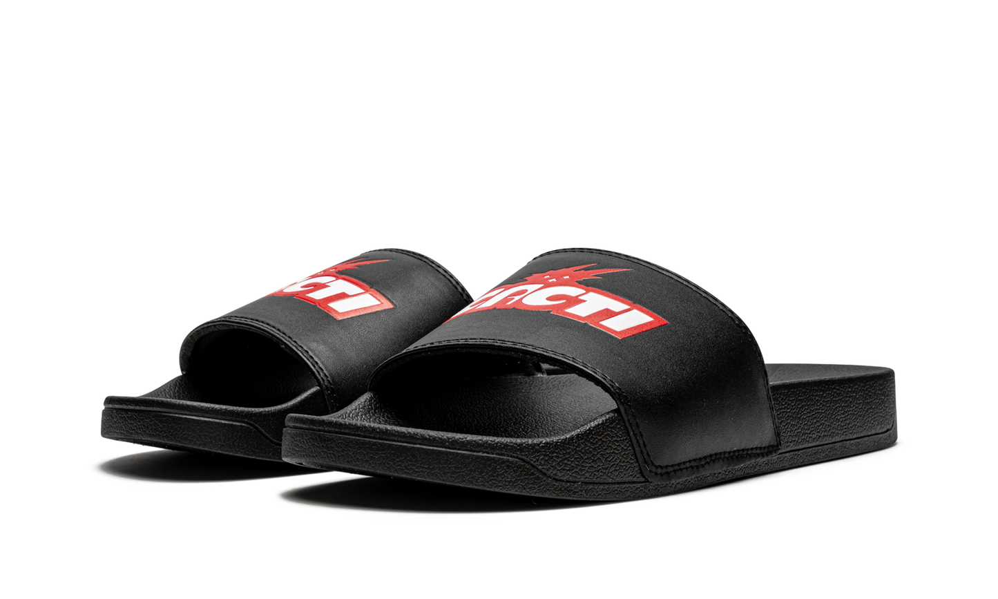 Cacti Slides "Cacti" CACT FS42