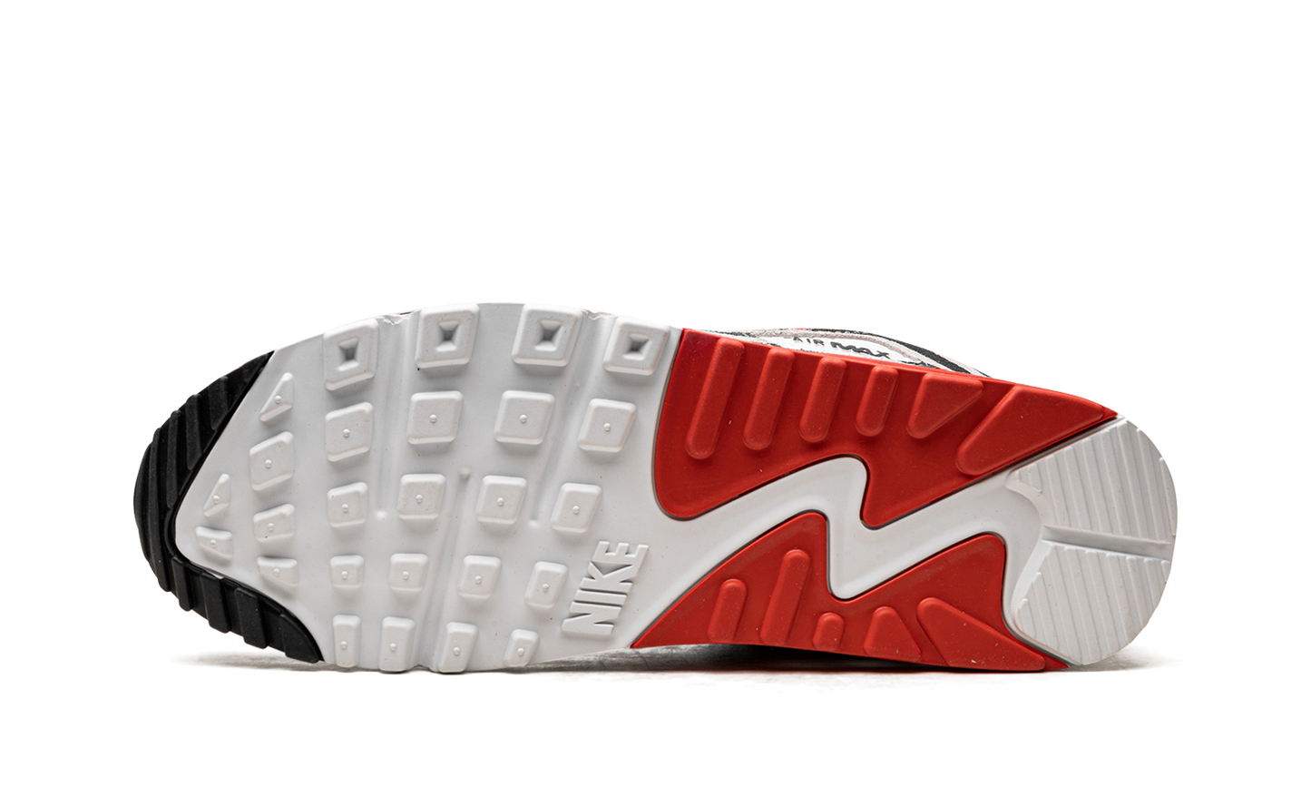 Air Max 90 "Animal Instinct" DZ4839 001