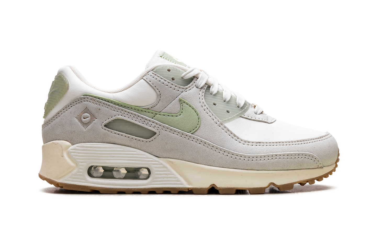 Air Max 90 SE WMNS "Australia" FN7490 133
