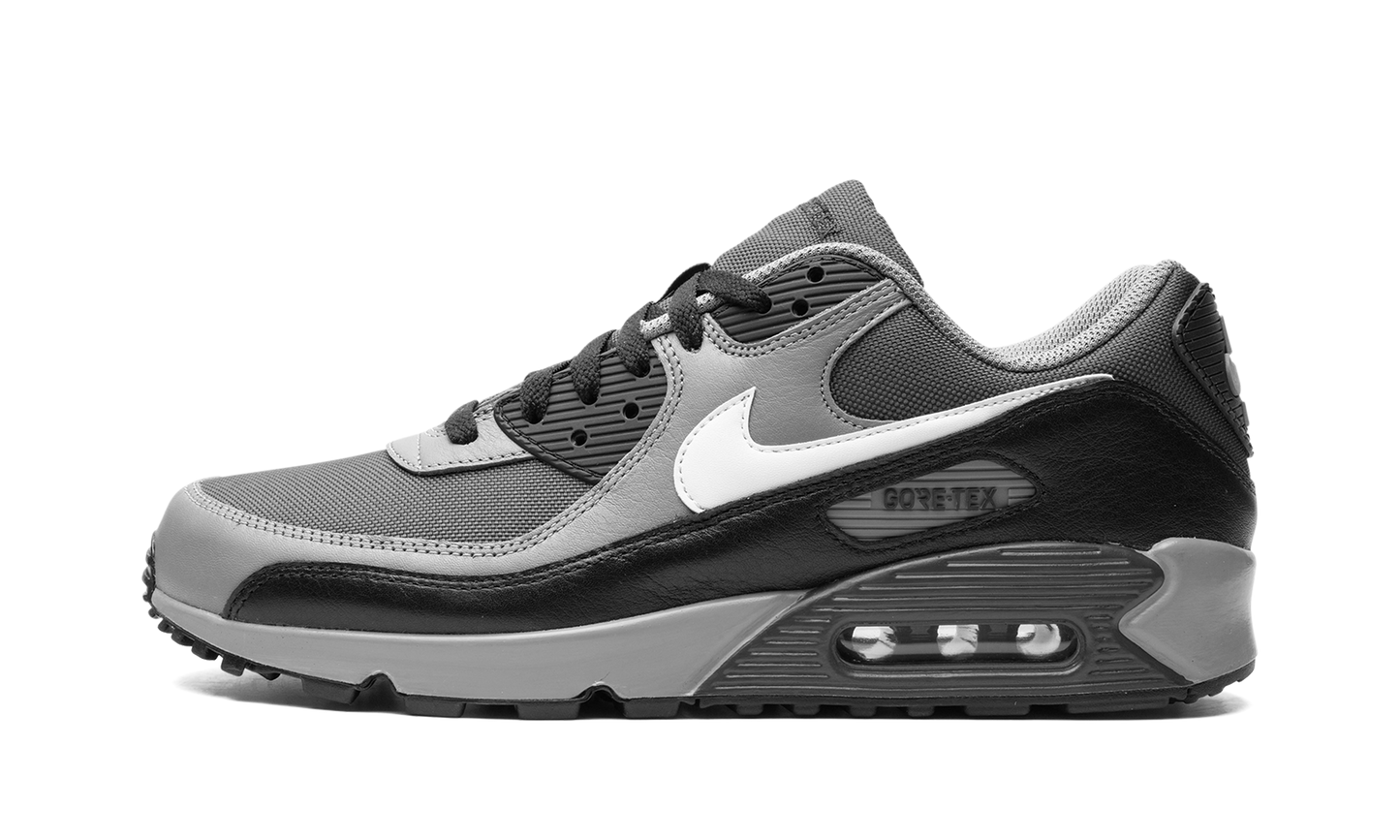 Air Max 90 GORE-TEX "Dark Smoke Grey" FD5810 002