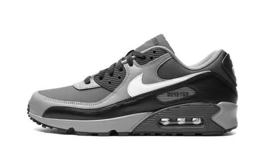 Air Max 90 GORE-TEX "Dark Smoke Grey" FD5810 002