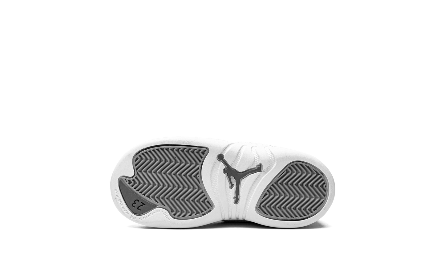 Jordan 12 Retro TD "Stealth" 850000 015