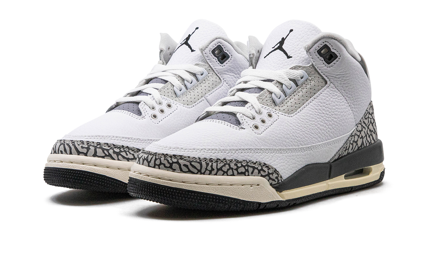 Air Jordan 3 GS "Hide N Sneak" DX6665 100