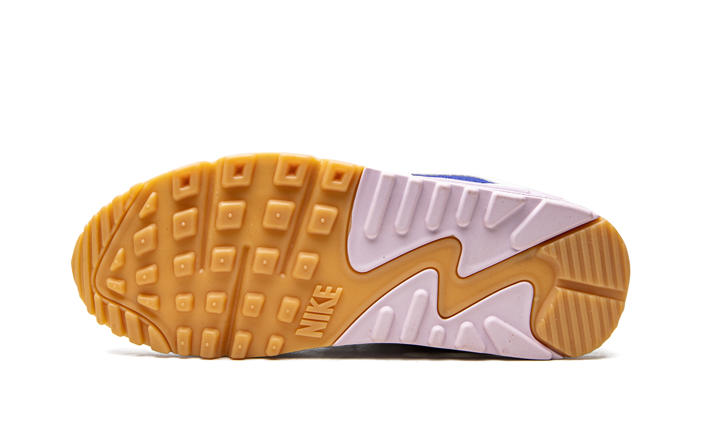 AIR MAX 90 WMNS DX3316 100