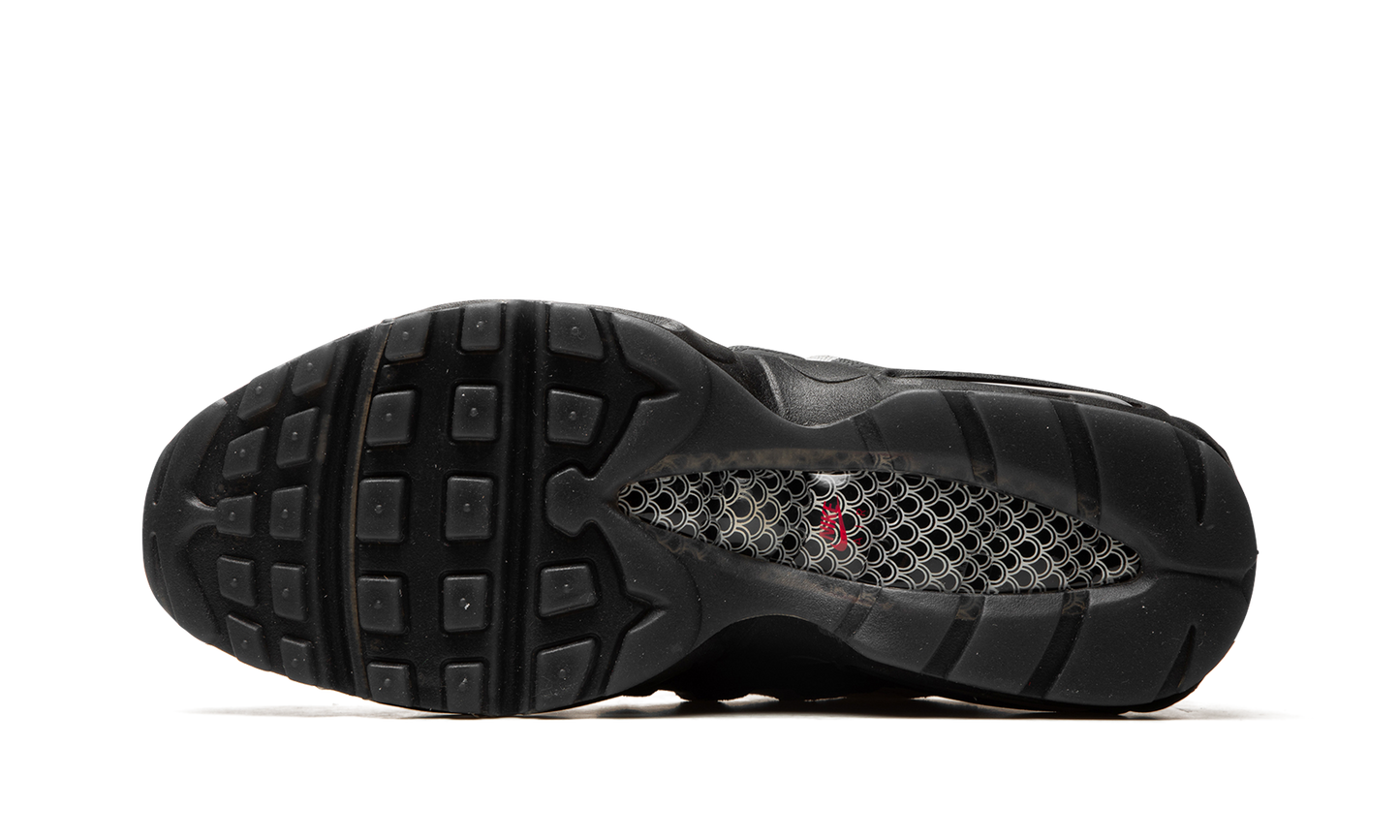 Air Max 95 "Fish Scales" DQ3979 001