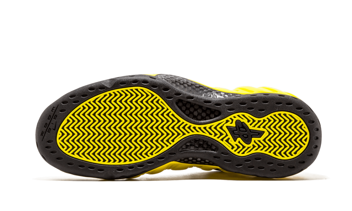 Air Foamposite One 314996 701