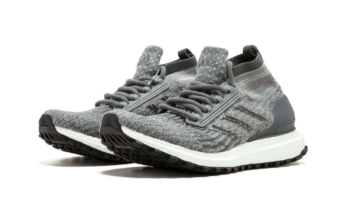 UltraBOOST All Terrain J CG3799
