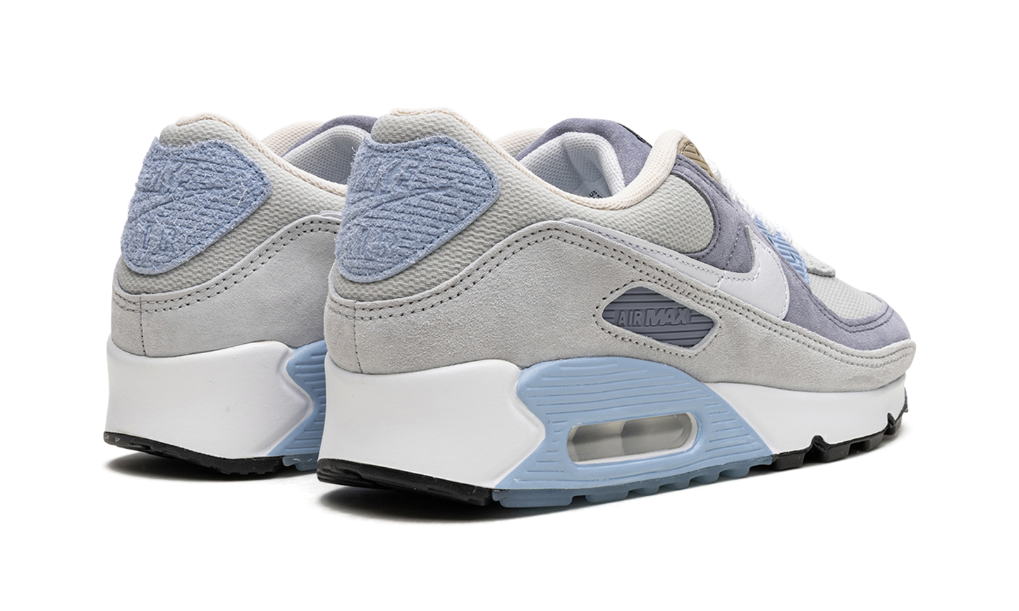 Air Max 90 "Ashen Slate" DM0035 400