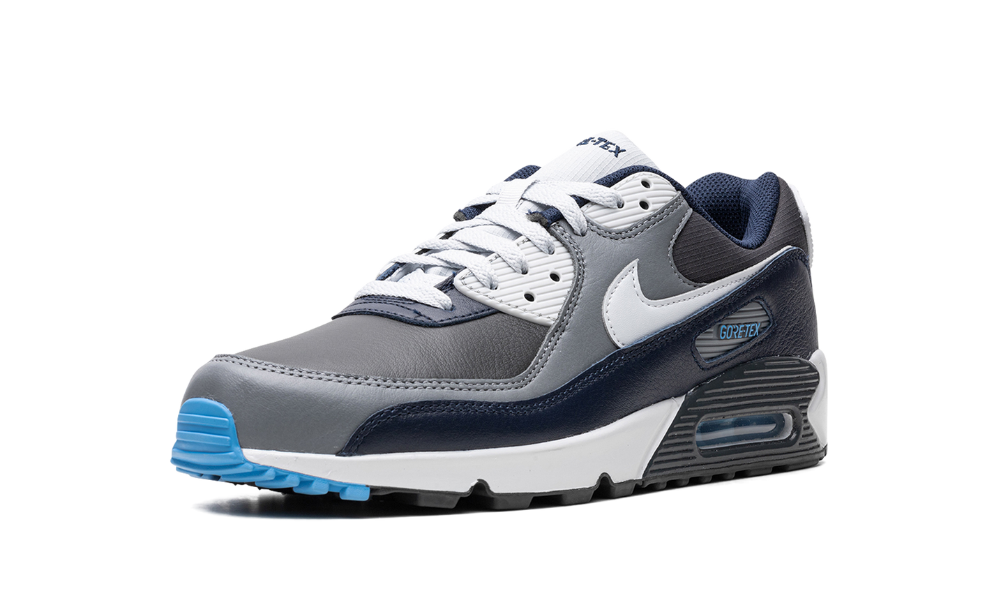 Air Max 90 Gore-Tex "Anthracite / Obsidian" DJ9779 004