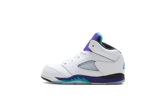 Jordan 5 Retro TD "Grape (2025)" HQ7981 100