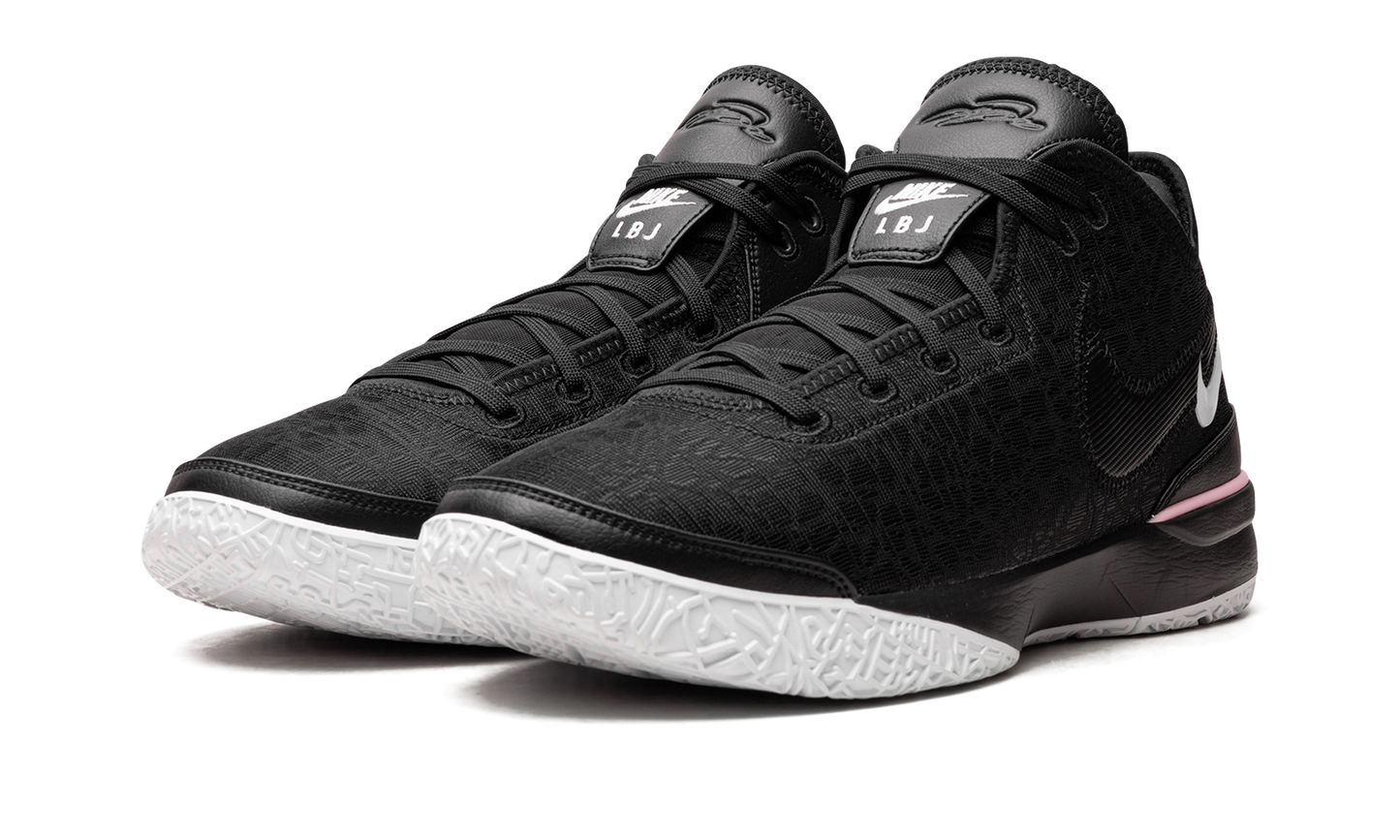 Nike Zoom LeBron NXXT Gen "Black/White" DR8784 003