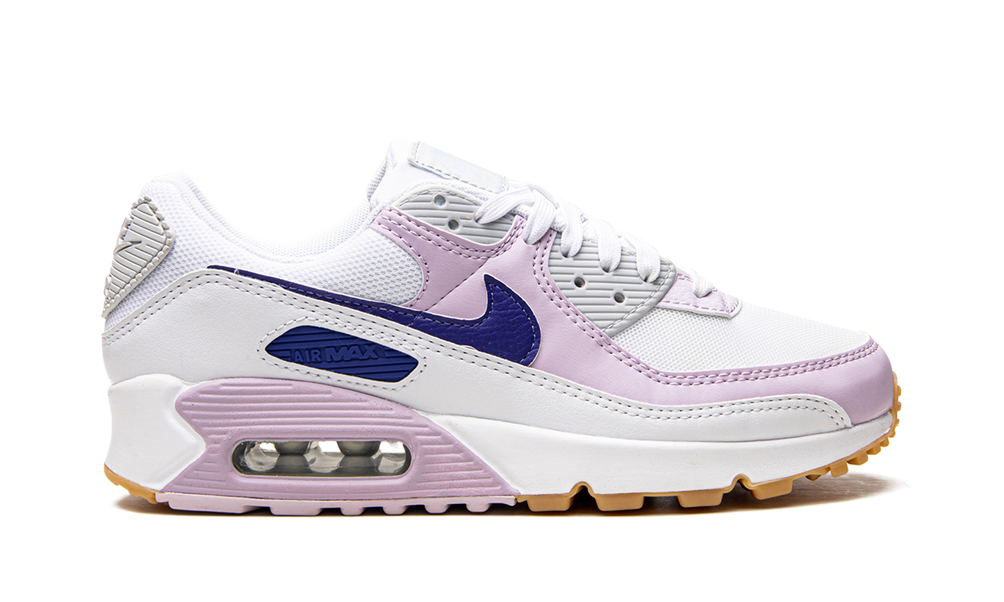 AIR MAX 90 WMNS DX3316 100