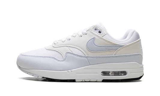 WMNS NIKE AIR MAX 1 "FOOTBALL GREY" DZ2628-105