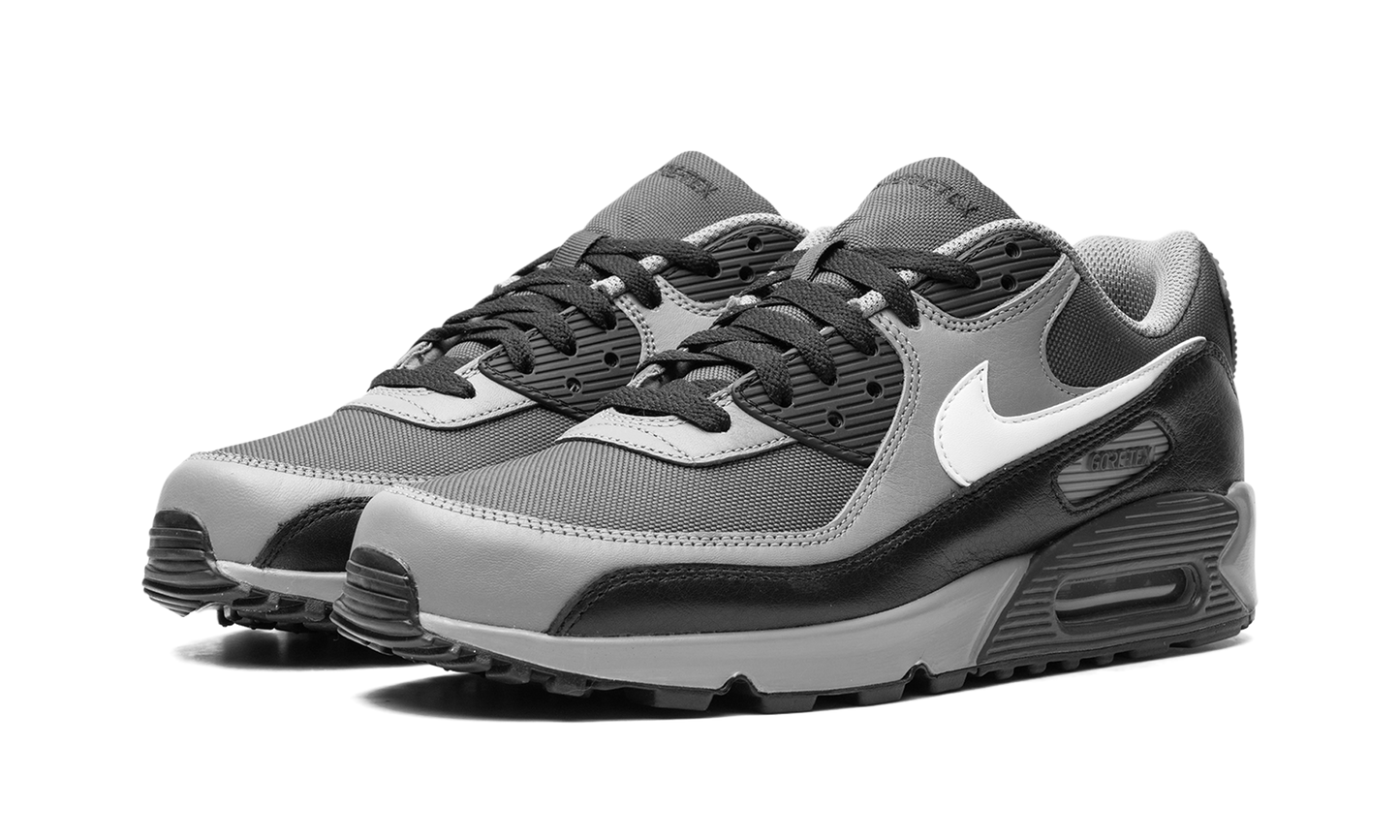 Air Max 90 GORE-TEX "Dark Smoke Grey" FD5810 002
