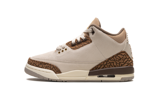 Air Jordan 3 GS "Palomino" DM0967 102