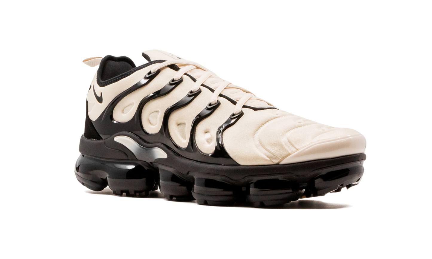 Air VaporMax Plus DH0860 100