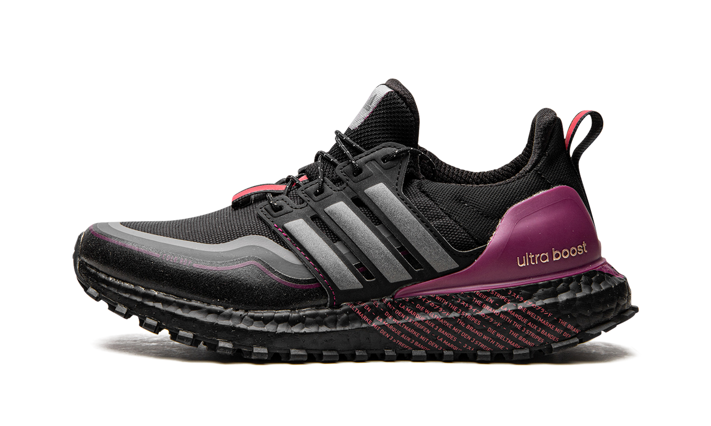 UltraBoost C.RDY DNA G54861