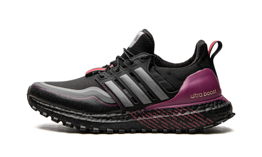 UltraBoost C.RDY DNA G54861