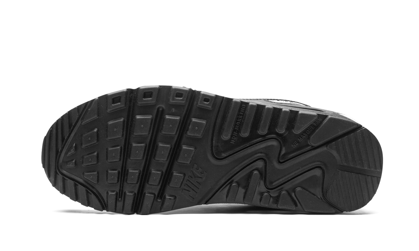 Air Max 90 LTR (GS) CD6864 010