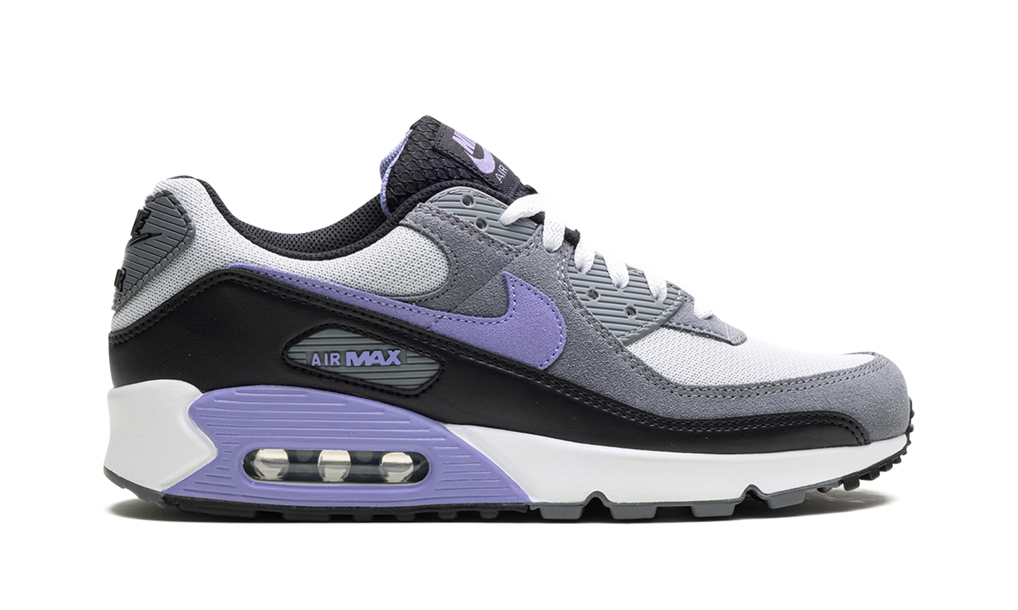 Air Max 90 "Light Thistle" DM0029 014