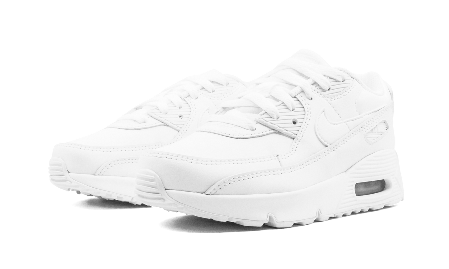 Air Max 90 CD6867 100