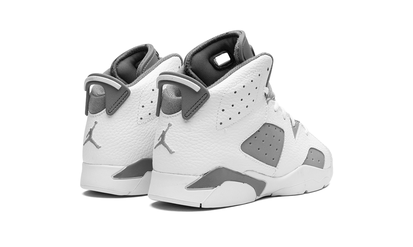 Air Jordan 6 PS "Cool Grey" DV3605 100