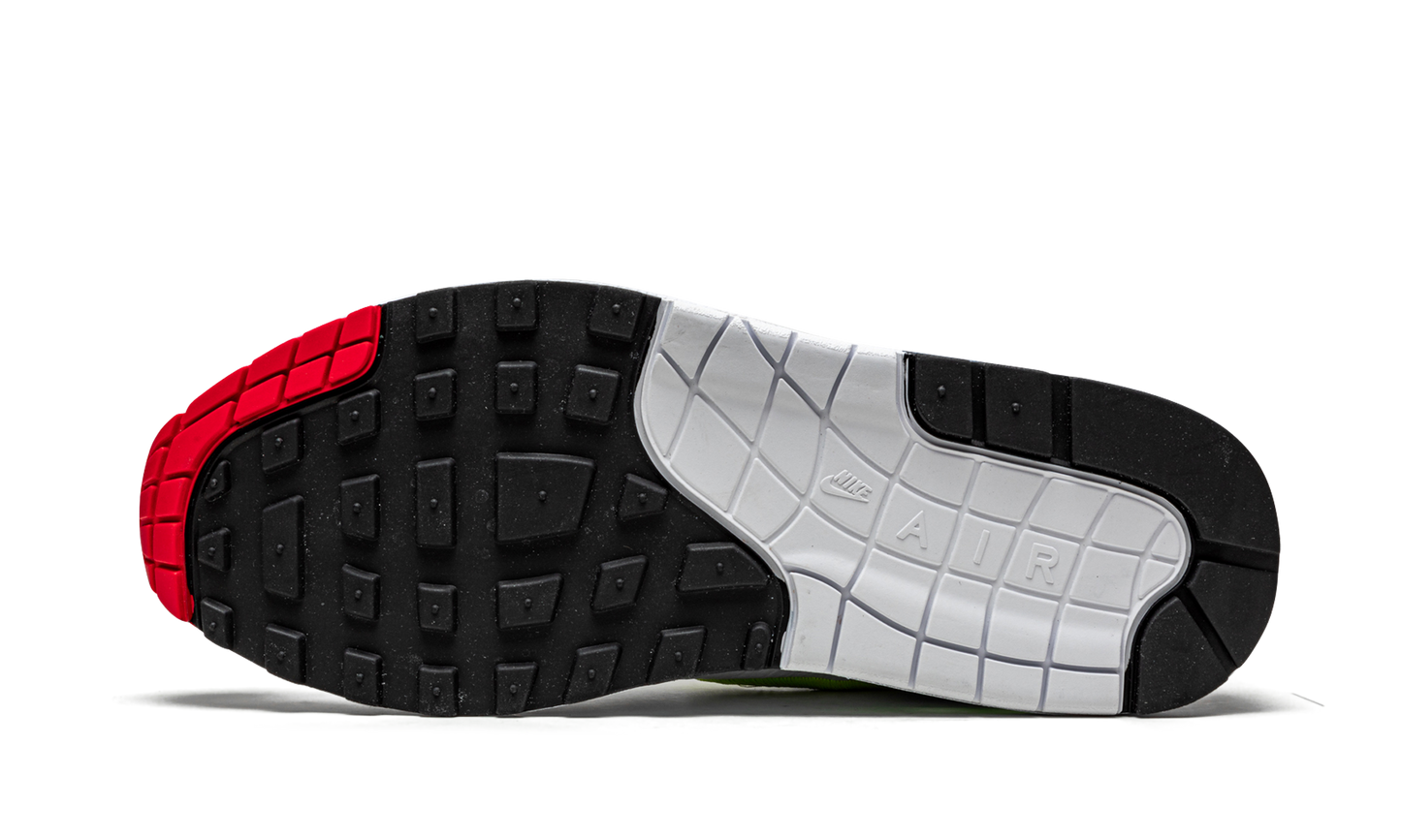 Air Max 1 "Evolution Of Icons" CW6541 100