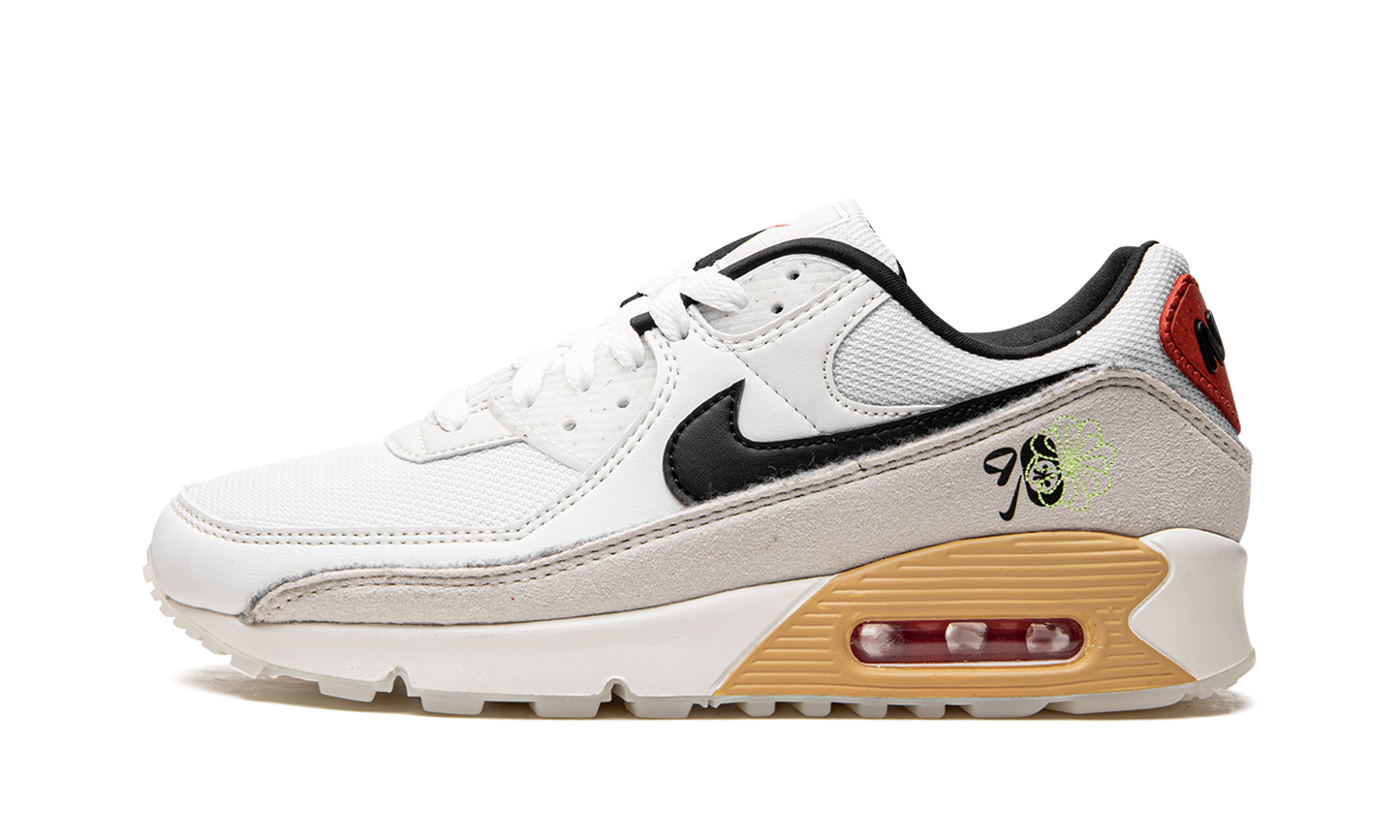 Air Max 90 "Swoosh Fiber" DV3335 100